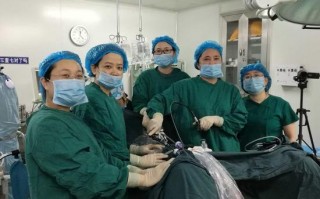 宫颈腹腔技术，宫颈腹腔技术成熟吗