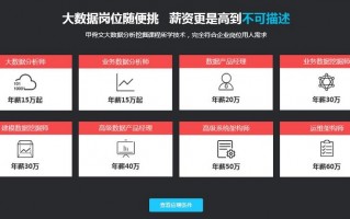 数据分析培训班排名，数据分析公司排名